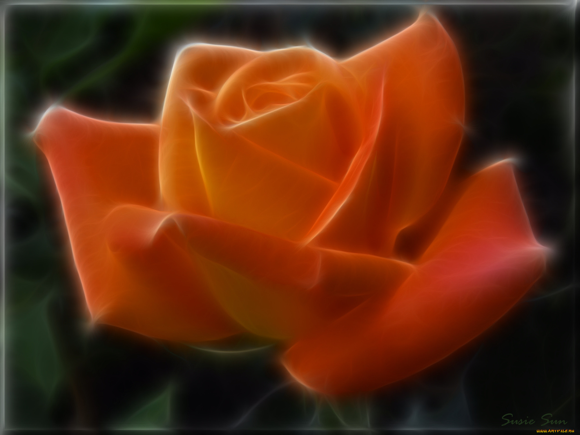 3, , flowers, , , , 
